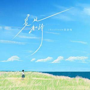夏风如诗
